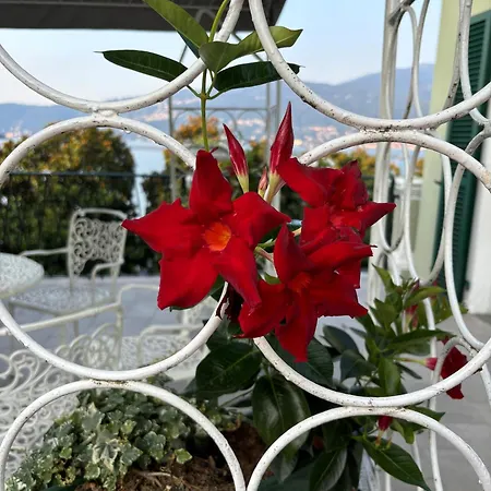 Pesce D'oro Hotel