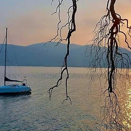 Pesce D'oro Hotel Verbania